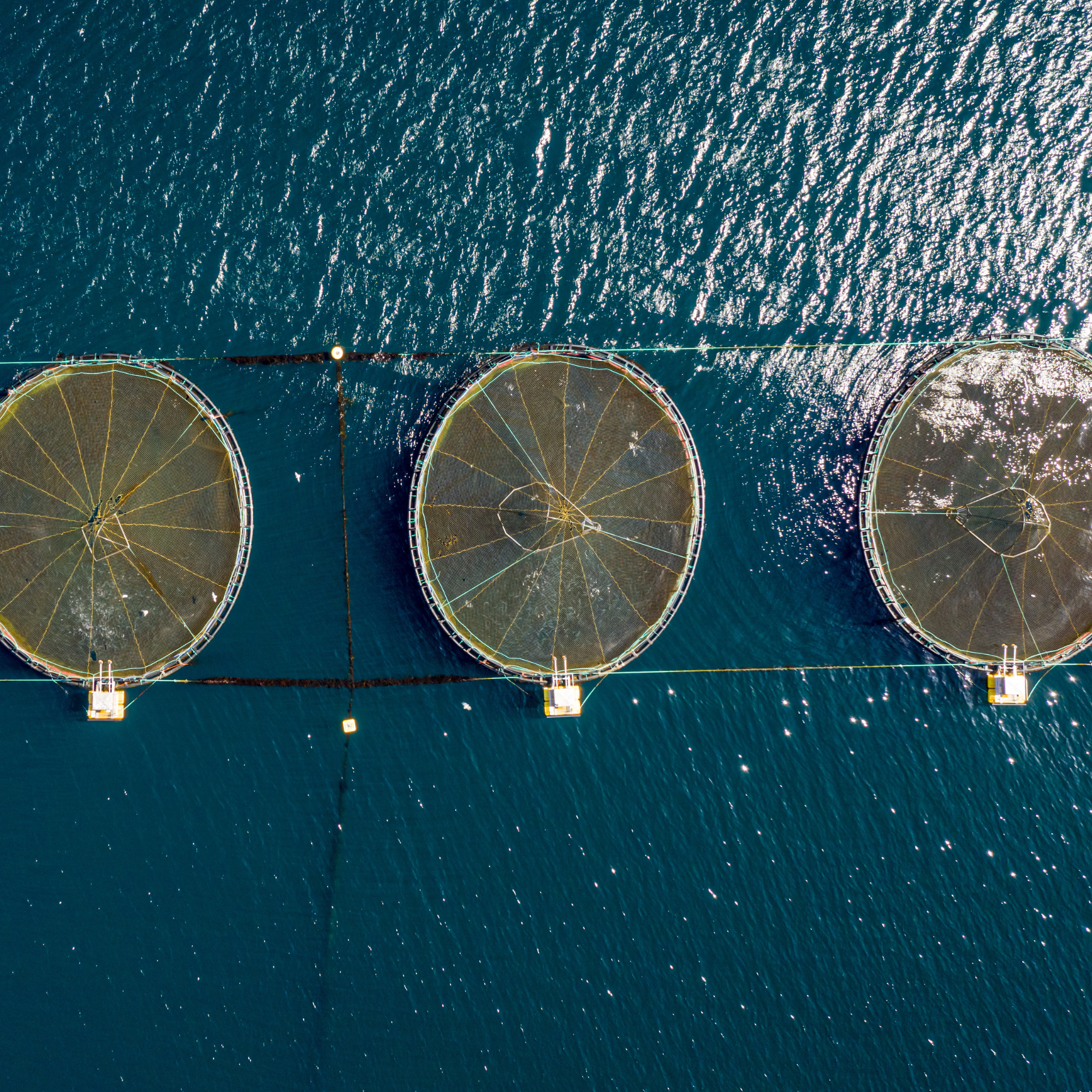 offshore aqualculture farms