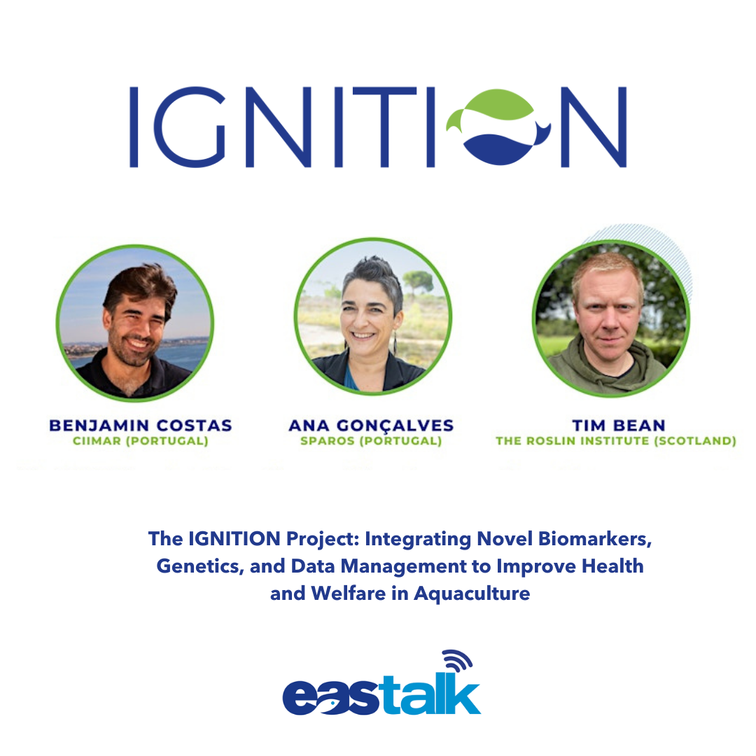 Photos of Benjamin Costas, Ana gonçalves and Tim Bean, speakers of this webinar.