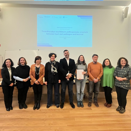 phD thesis jury with the candidate Inês Ferreira and her accepted thesis